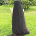 313 10 شعر طويل بنات , تسريحات للفتيات لولو مودي